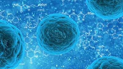 ÎMBĂTRÂNIREA CELULARĂ: CARE SUNT CAUZELE ȘI CUM O POȚI PREVENI