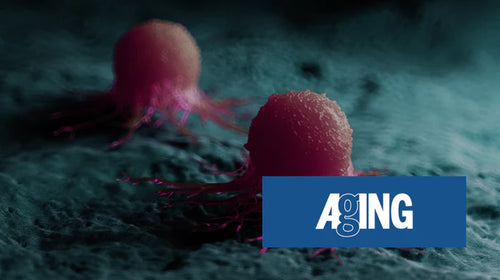 Postul și tratamentul cancerului la oameni: Un raport de cazuri clinice