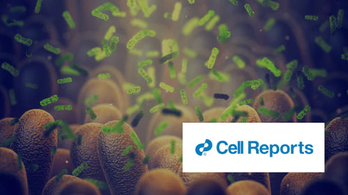 Dieta de tip Fasting Mimicking modulează microbiota și promovează regenerarea intestinală pentru a reduce patologia bolii inflamatorii intestinale